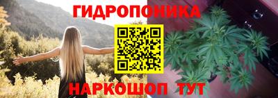 мяу мяу мука Донской