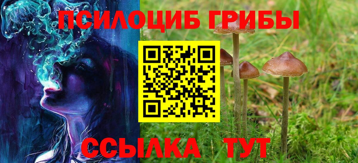Москва  Псилоцибиновые грибы GOLDEN TEACHER  Вход с VPN 